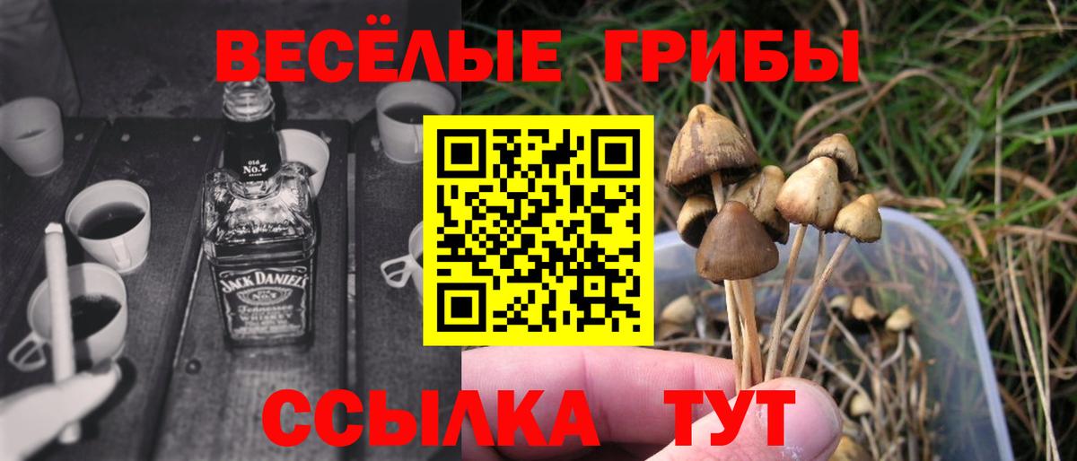 Белореченск  Псилоцибиновые грибы Magic Shrooms  Вход с VPN  Галлюциногенные грибы прущие грибы 